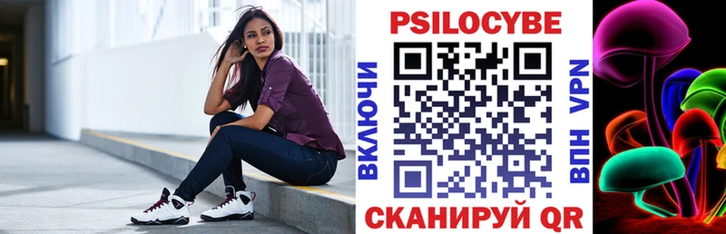 mega ССЫЛКА  Павловск  Псилоцибиновые грибы GOLDEN TEACHER 