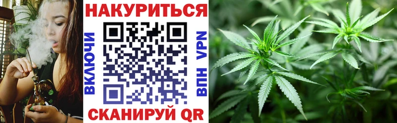 Бошки марихуана конопля Павловск